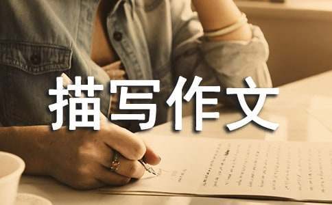 篮球教练如何为不同年龄段的球员制定战术训练方案?_0